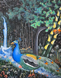 The Peacock's Beauty
